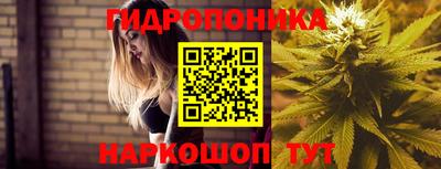 стаф Гусиноозёрск