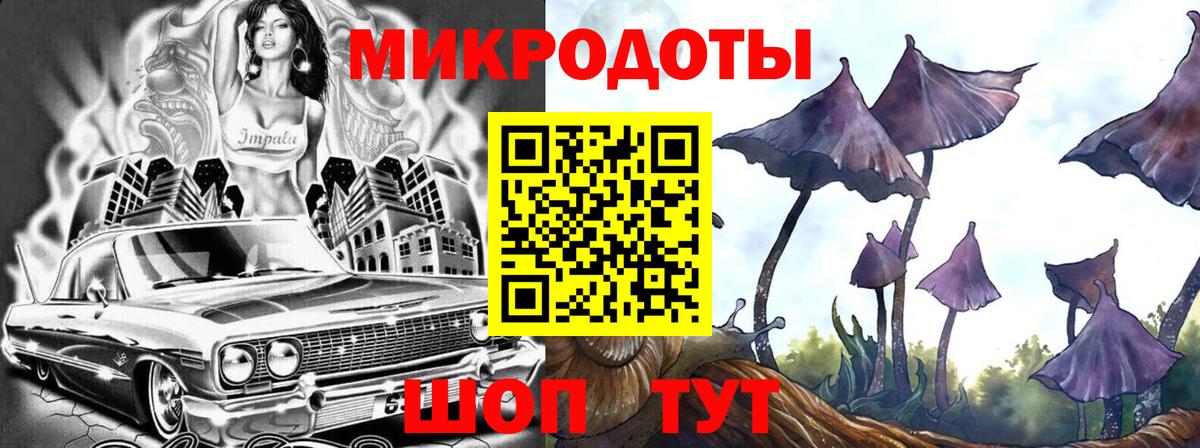 Псилоцибиновые грибы MAGIC MUSHROOMS  Вход с VPN  Псилоцибиновые грибы мицелий  Нижний Новгород 